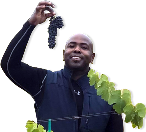Dennis holding grapes